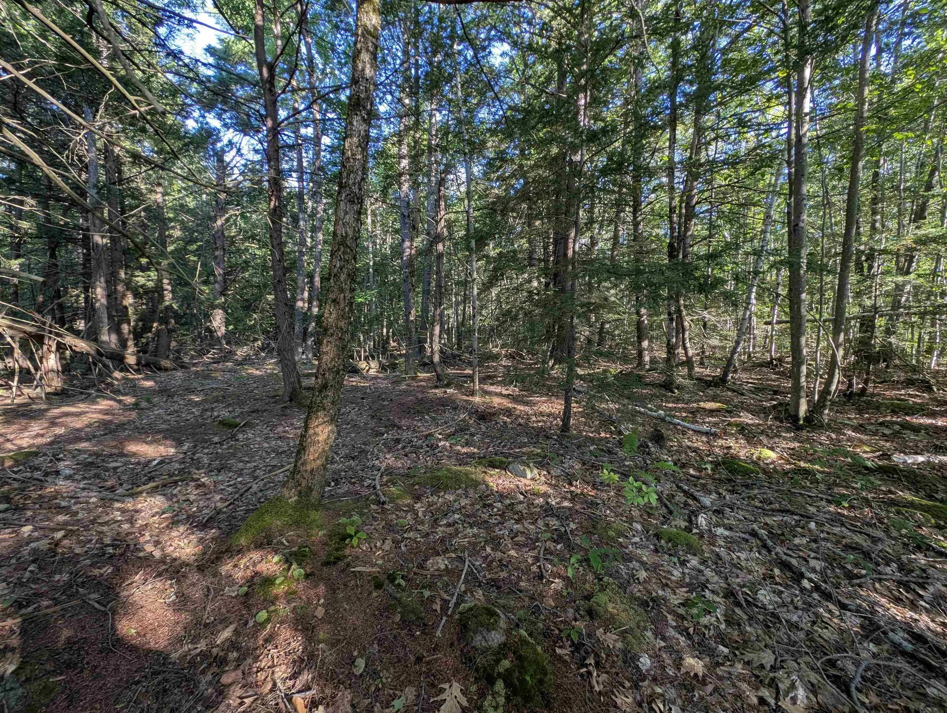 008-043-000 School House Road Francestown NH 03043