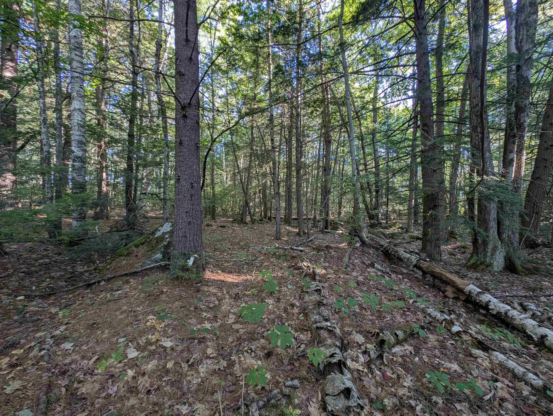 008-043-000 School House Road Francestown NH 03043