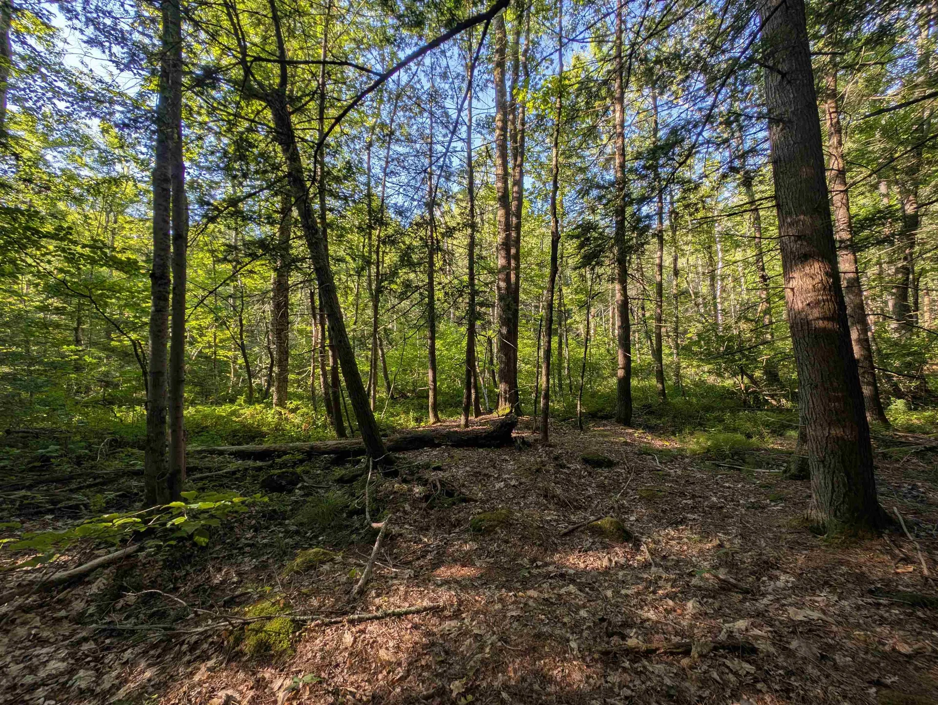 008-043-000 School House Road Francestown NH 03043