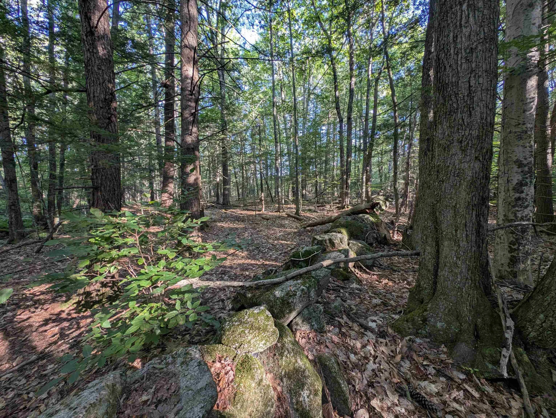 008-043-000 School House Road Francestown NH 03043