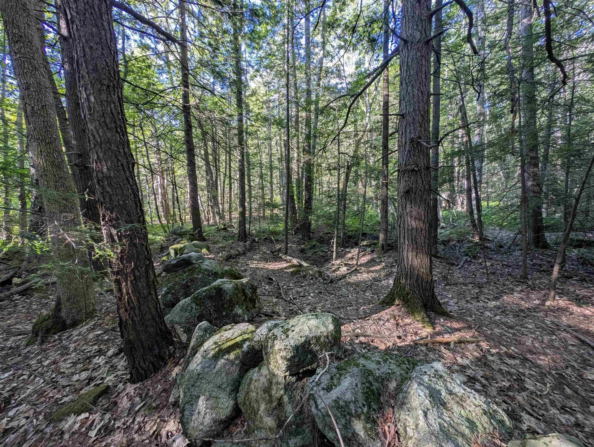 008-043-000 School House Road Francestown NH 03043