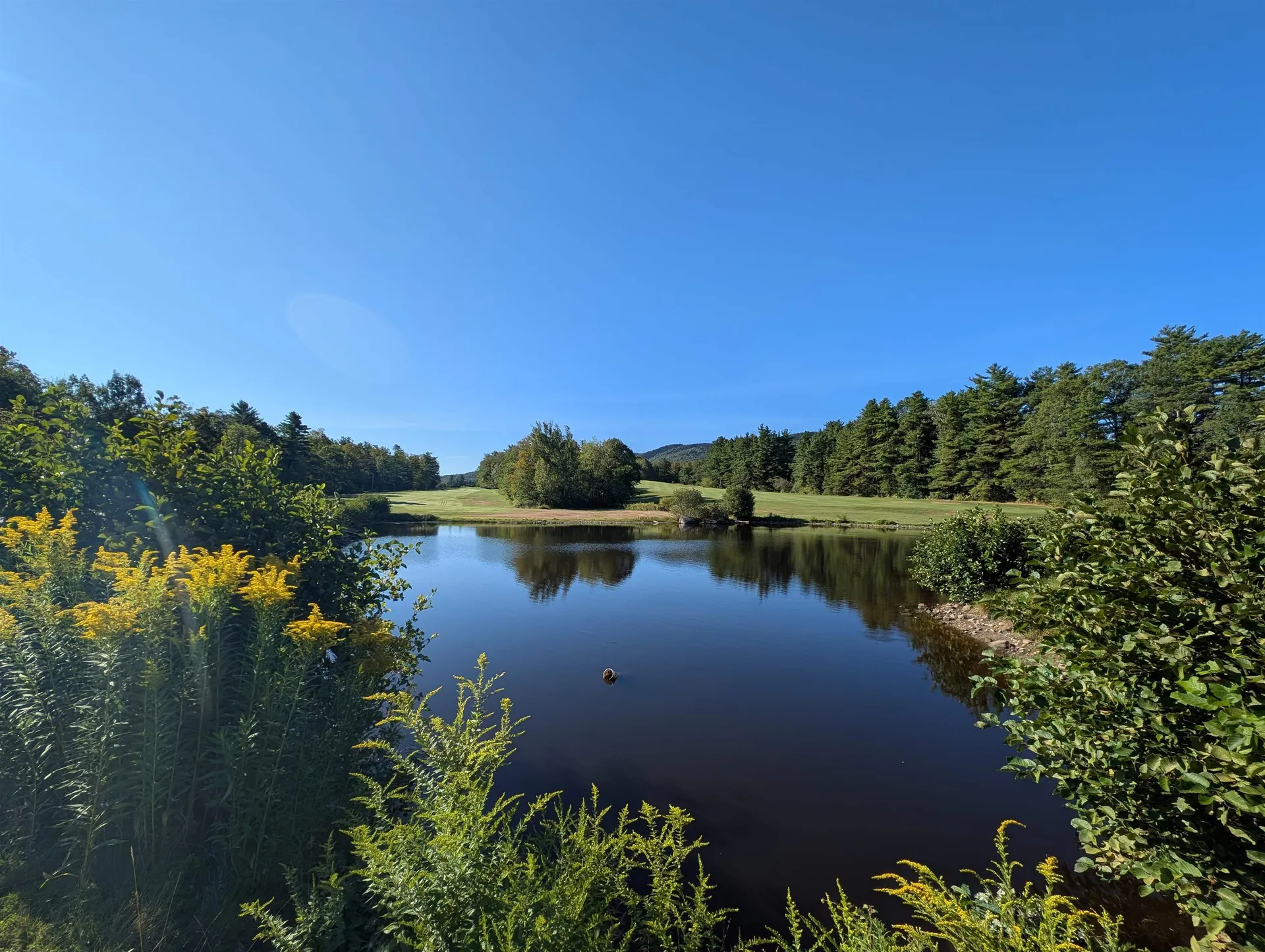 008-043-000 School House Road Francestown NH 03043