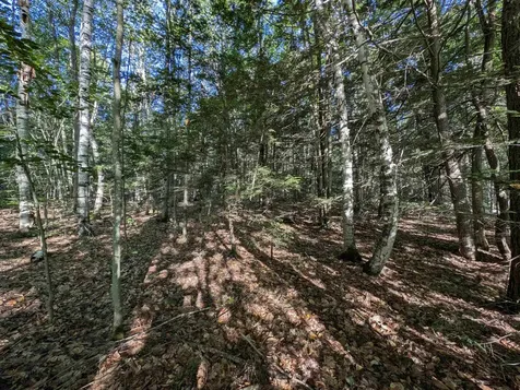 008-043-000 School House Road Francestown NH 03043