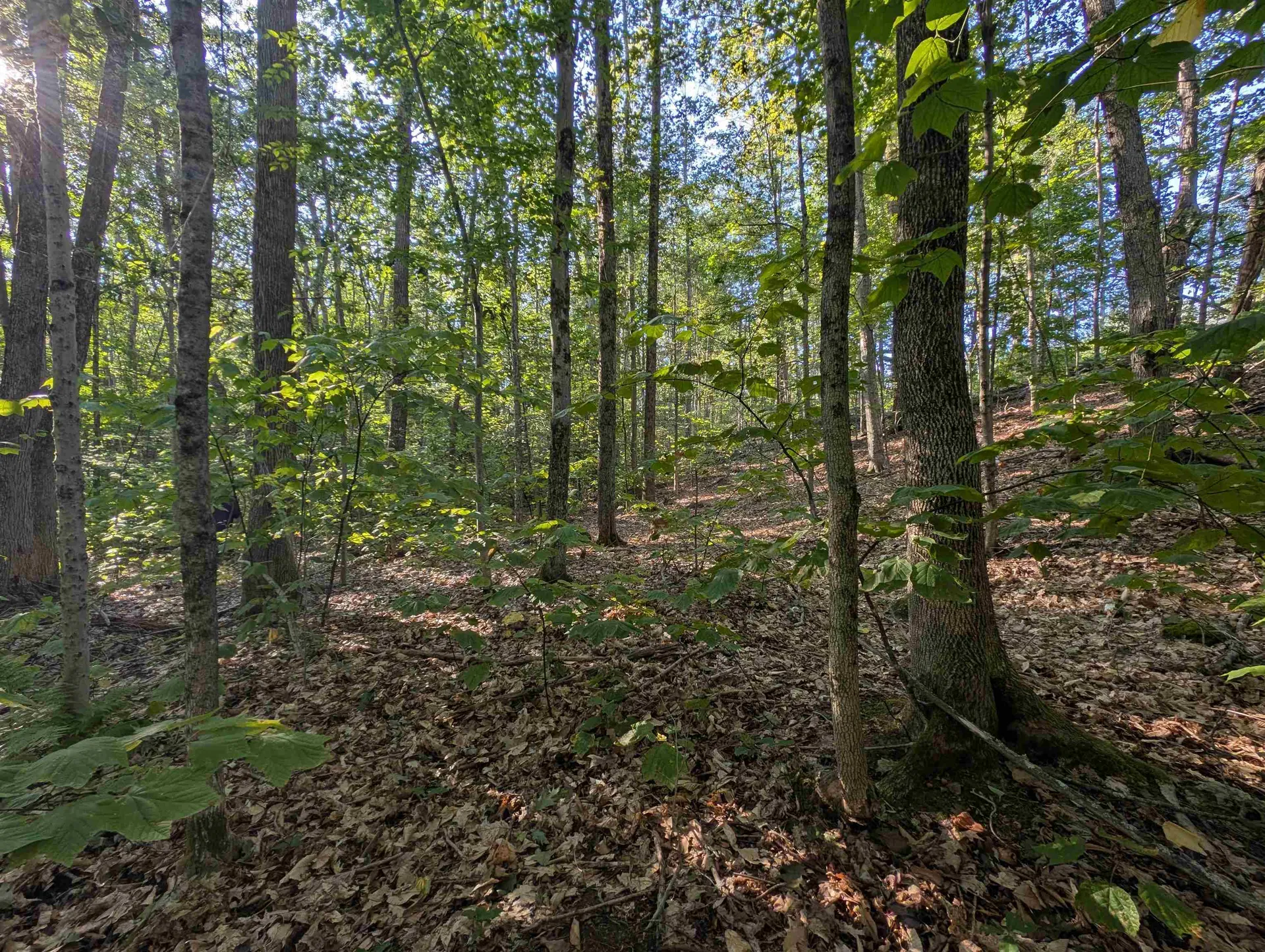 008-043-001 School House Road Francestown NH 03043