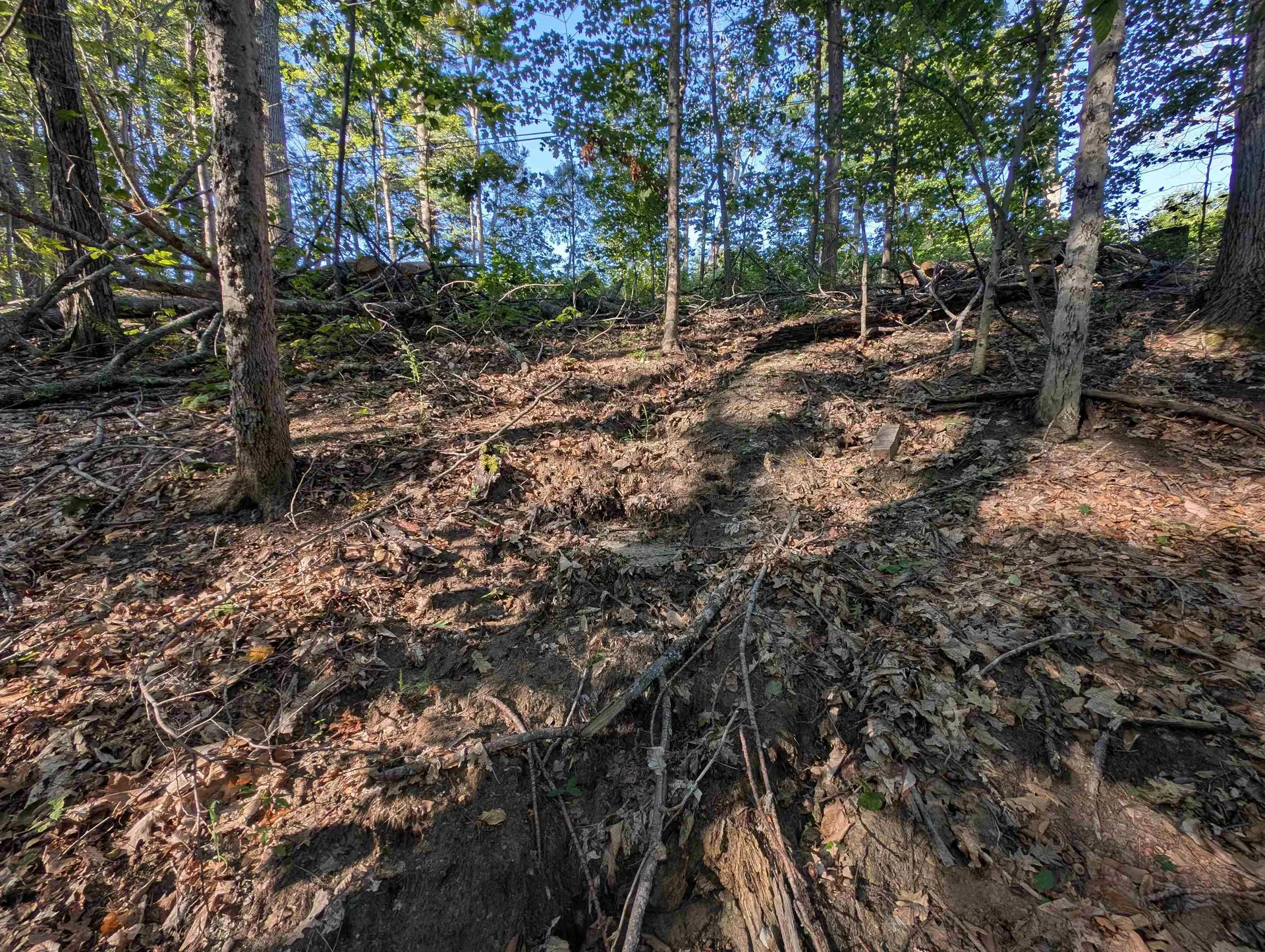 008-043-001 School House Road Francestown NH 03043