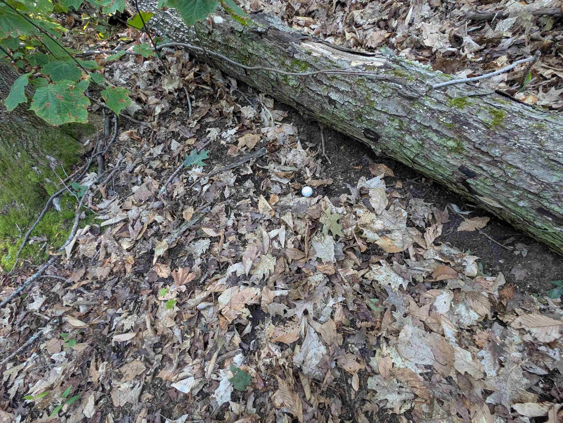 008-043-001 School House Road Francestown NH 03043