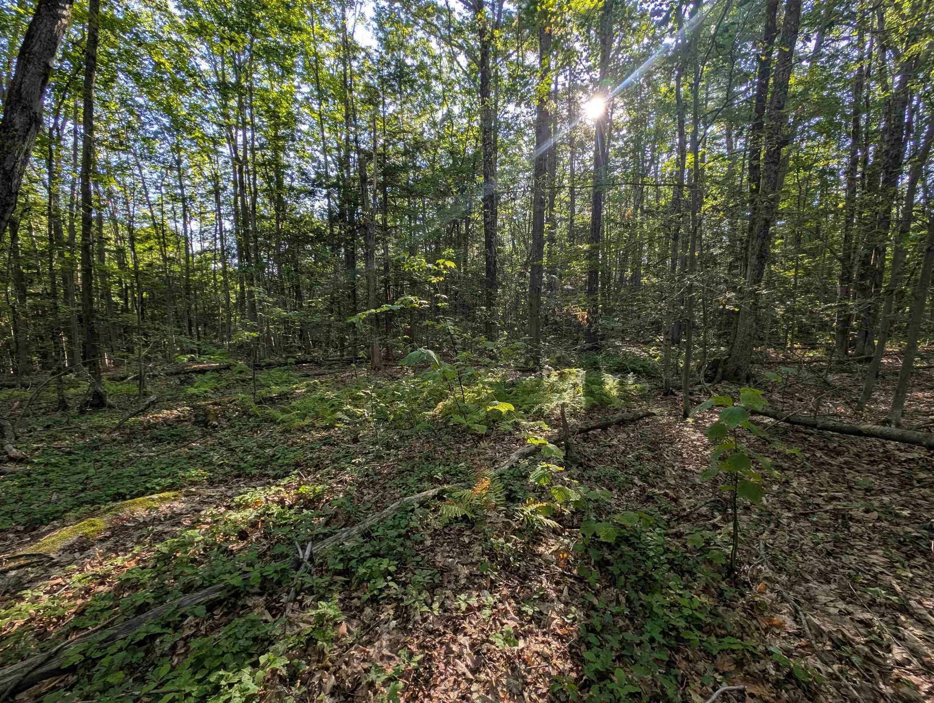 008-043-001 School House Road Francestown NH 03043