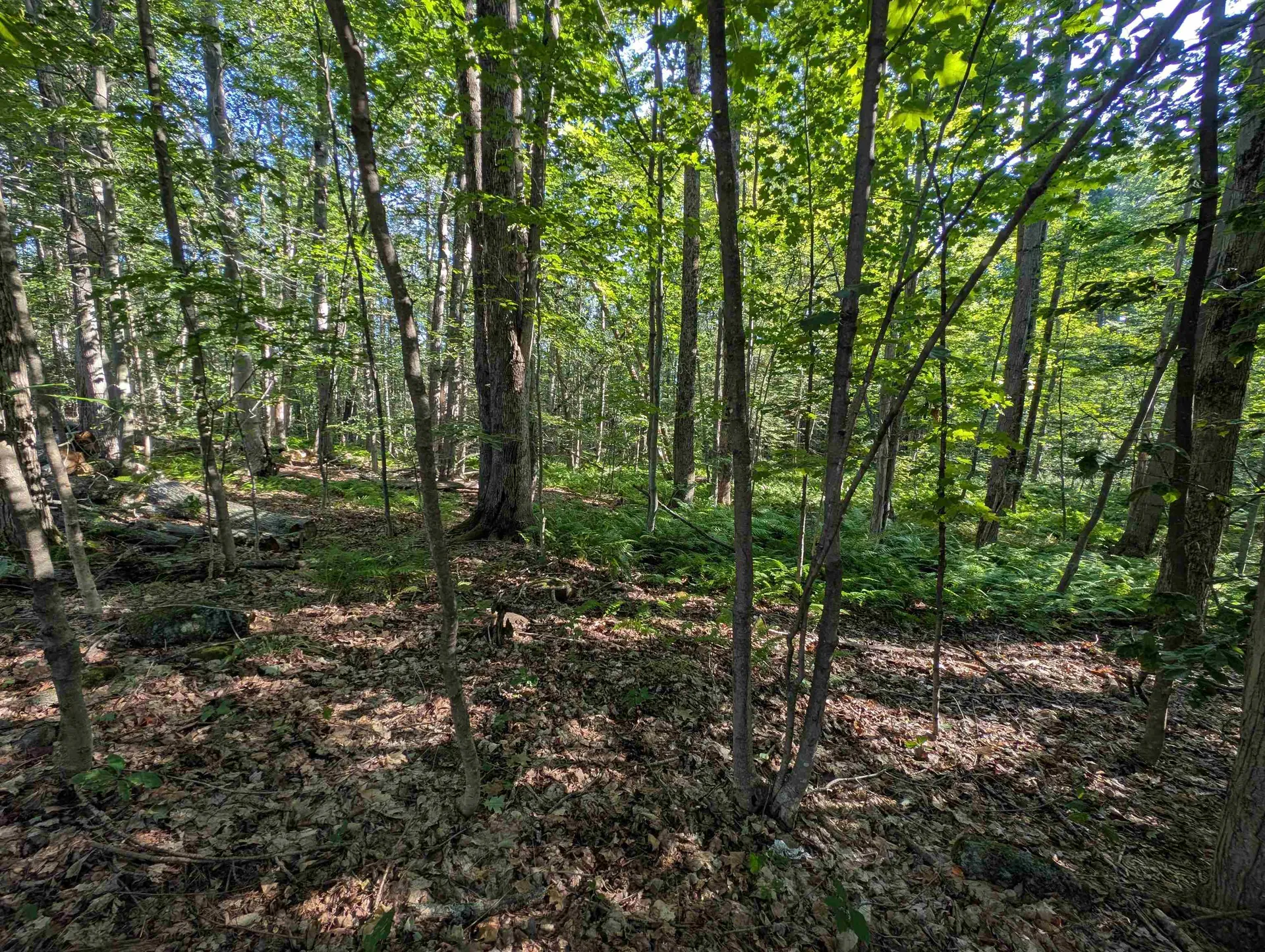 008-043-001 School House Road Francestown NH 03043