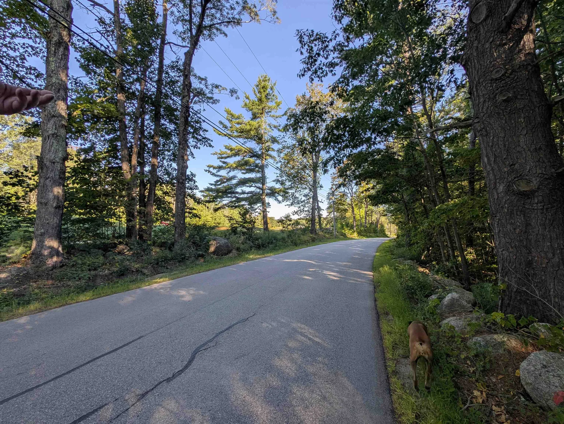 008-043-001 School House Road Francestown NH 03043