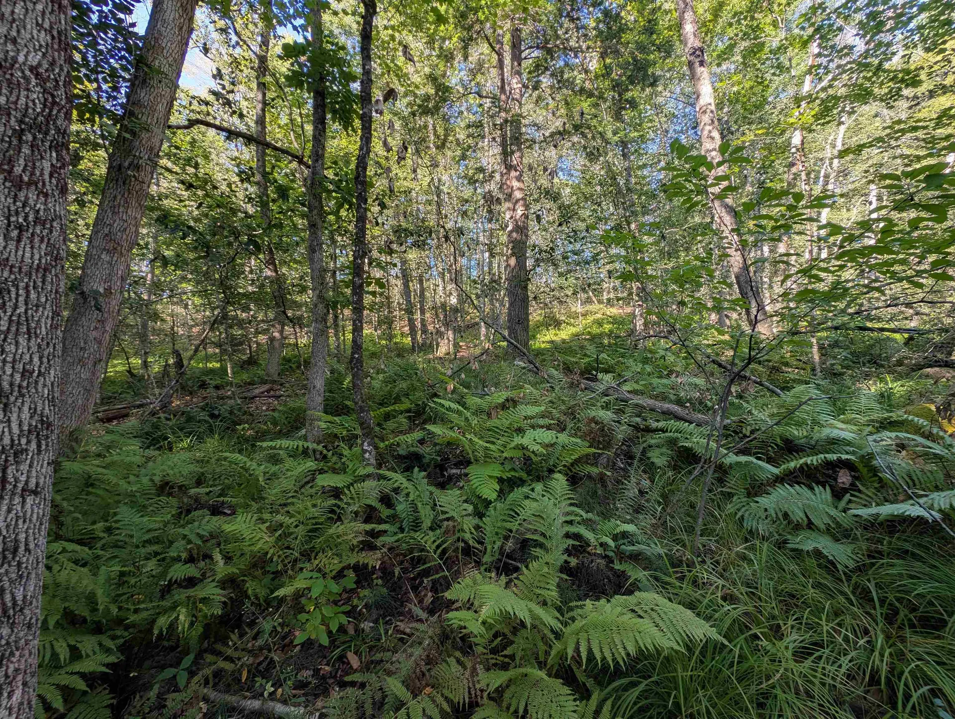 008-043-001 School House Road Francestown NH 03043