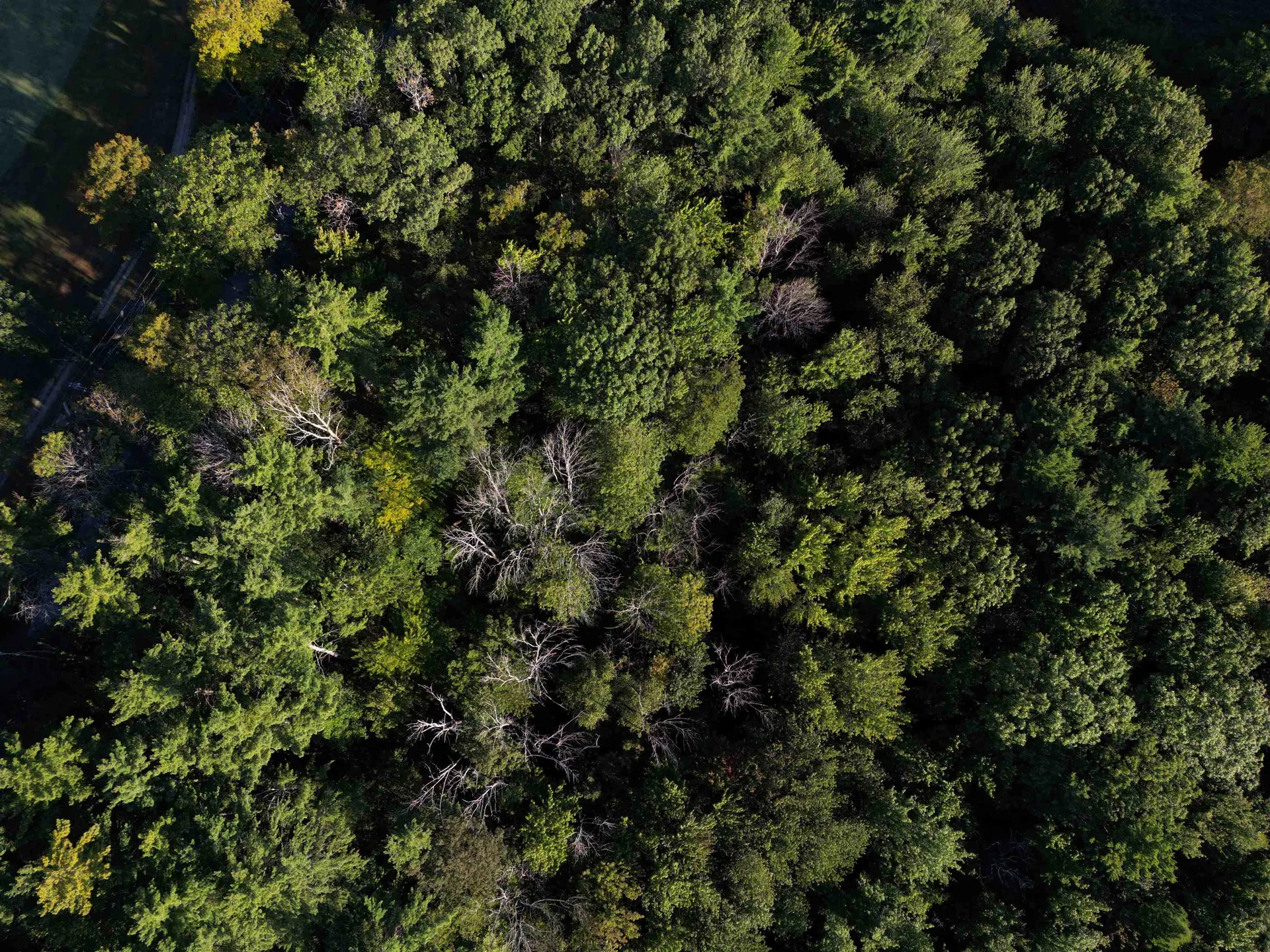 008-043-001 School House Road Francestown NH 03043