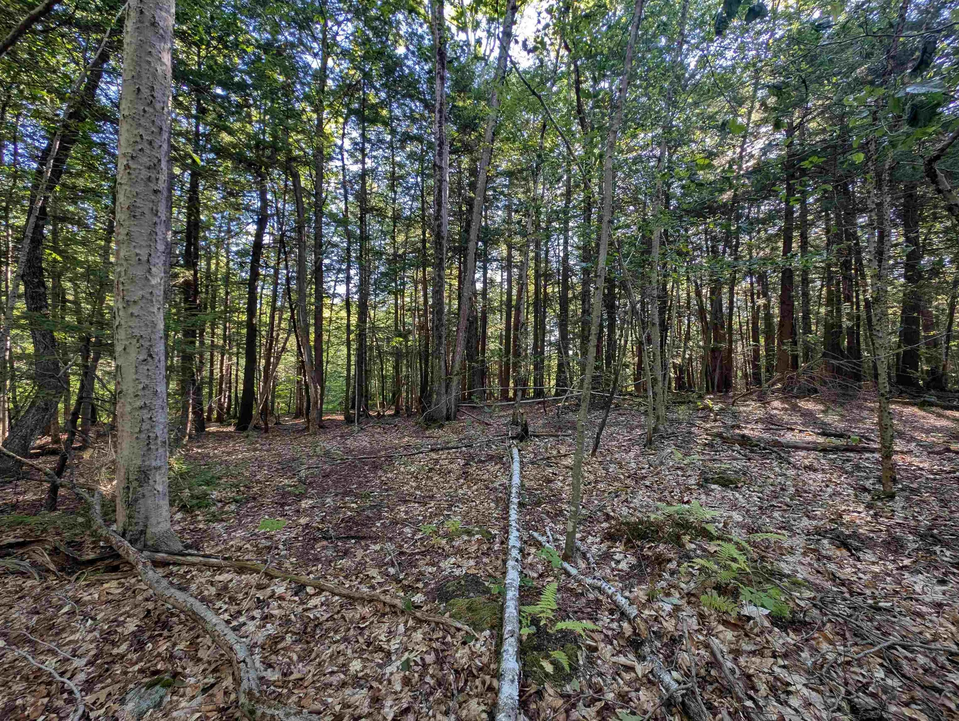 008-043-001 School House Road Francestown NH 03043