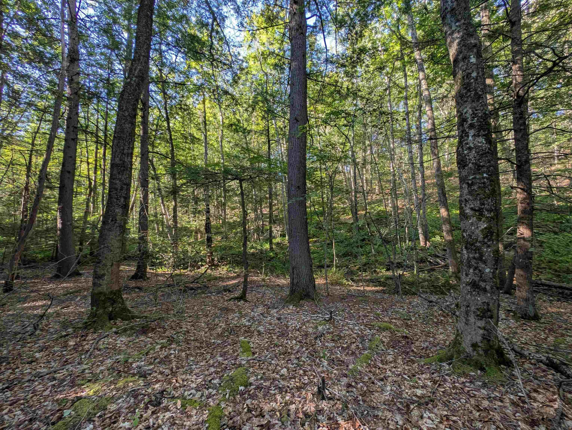 008-043-001 School House Road Francestown NH 03043