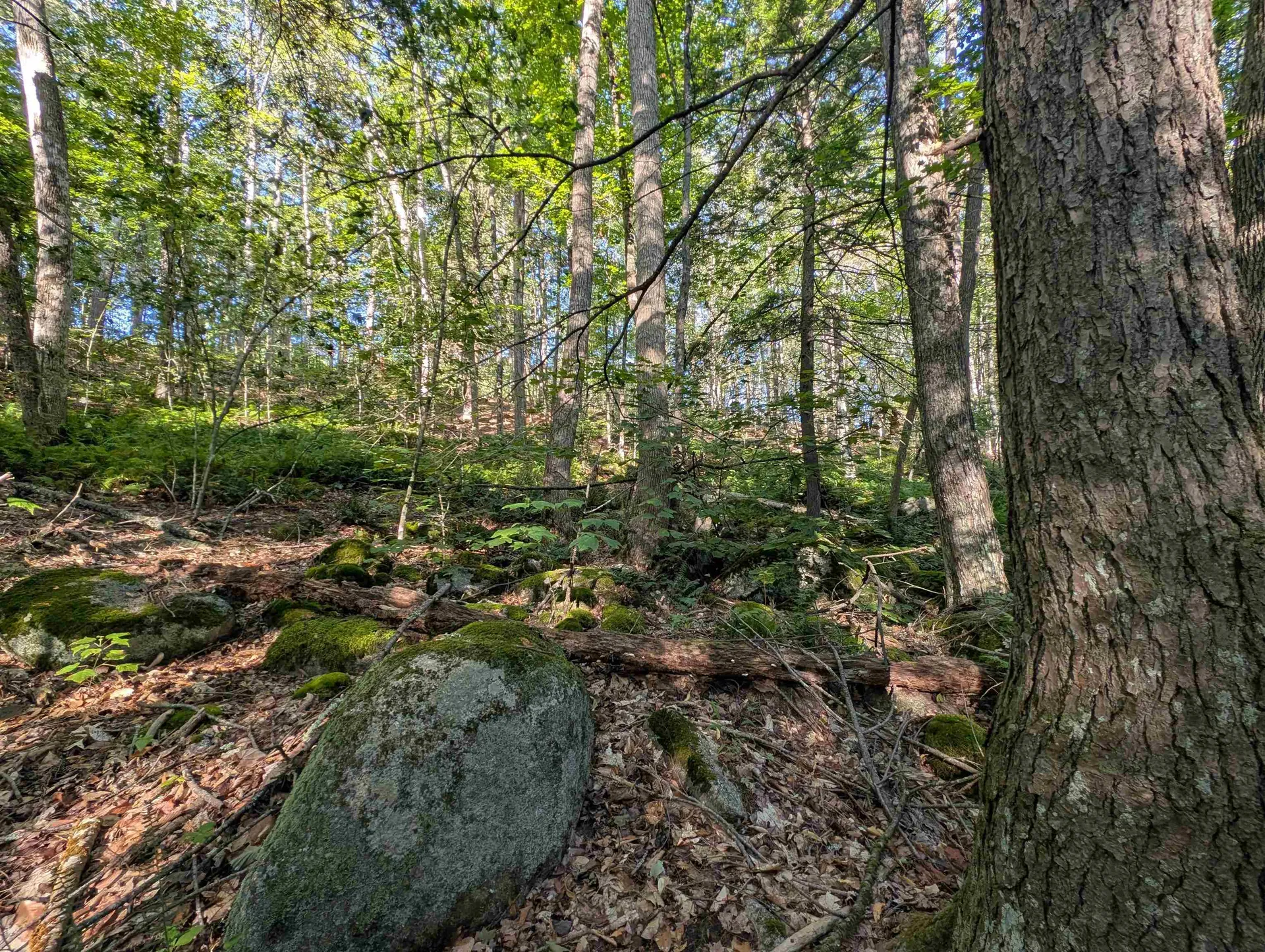 008-043-001 School House Road Francestown NH 03043