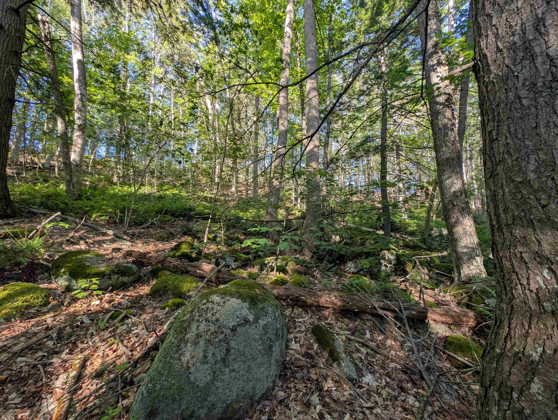 008-043-001 School House Road Francestown NH 03043