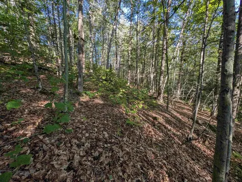 008-043-001 School House Road Francestown NH 03043