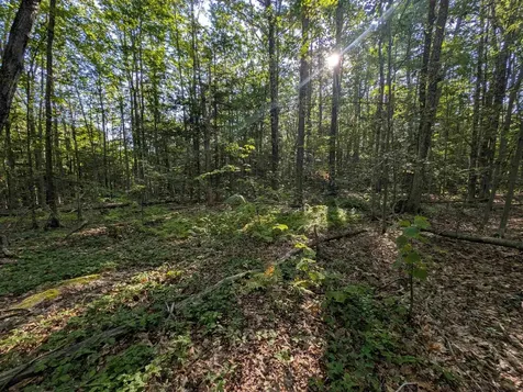 008-043-001 School House Road Francestown NH 03043