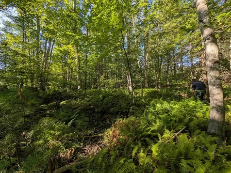 008-043-001 School House Road Francestown NH 03043