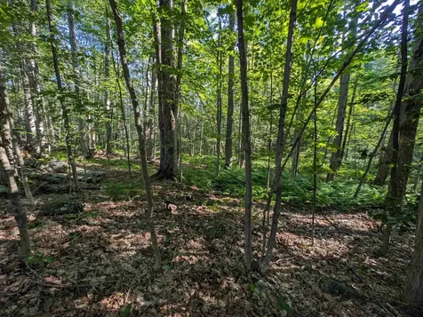 008-043-001 School House Road Francestown NH 03043