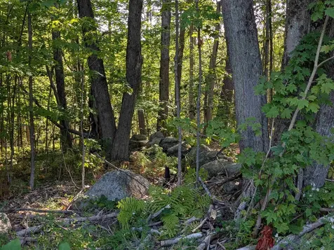 008-043-001 School House Road Francestown NH 03043