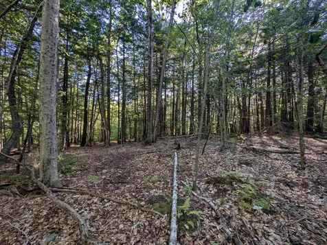 008-043-001 School House Road Francestown NH 03043