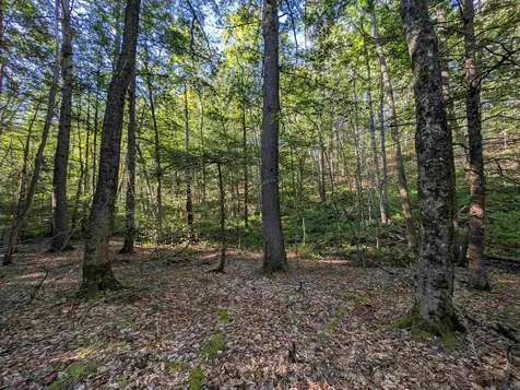 008-043-001 School House Road Francestown NH 03043