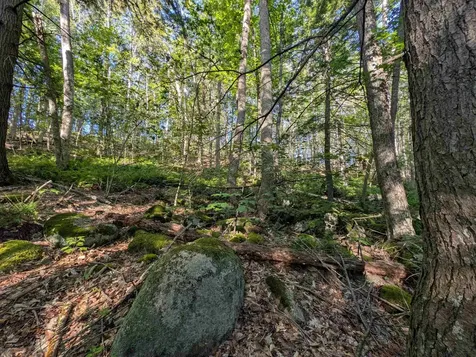 008-043-001 School House Road Francestown NH 03043