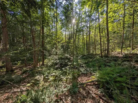 008-043-001 School House Road Francestown NH 03043