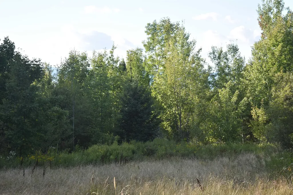 00 Route 58 Lowell VT 05847