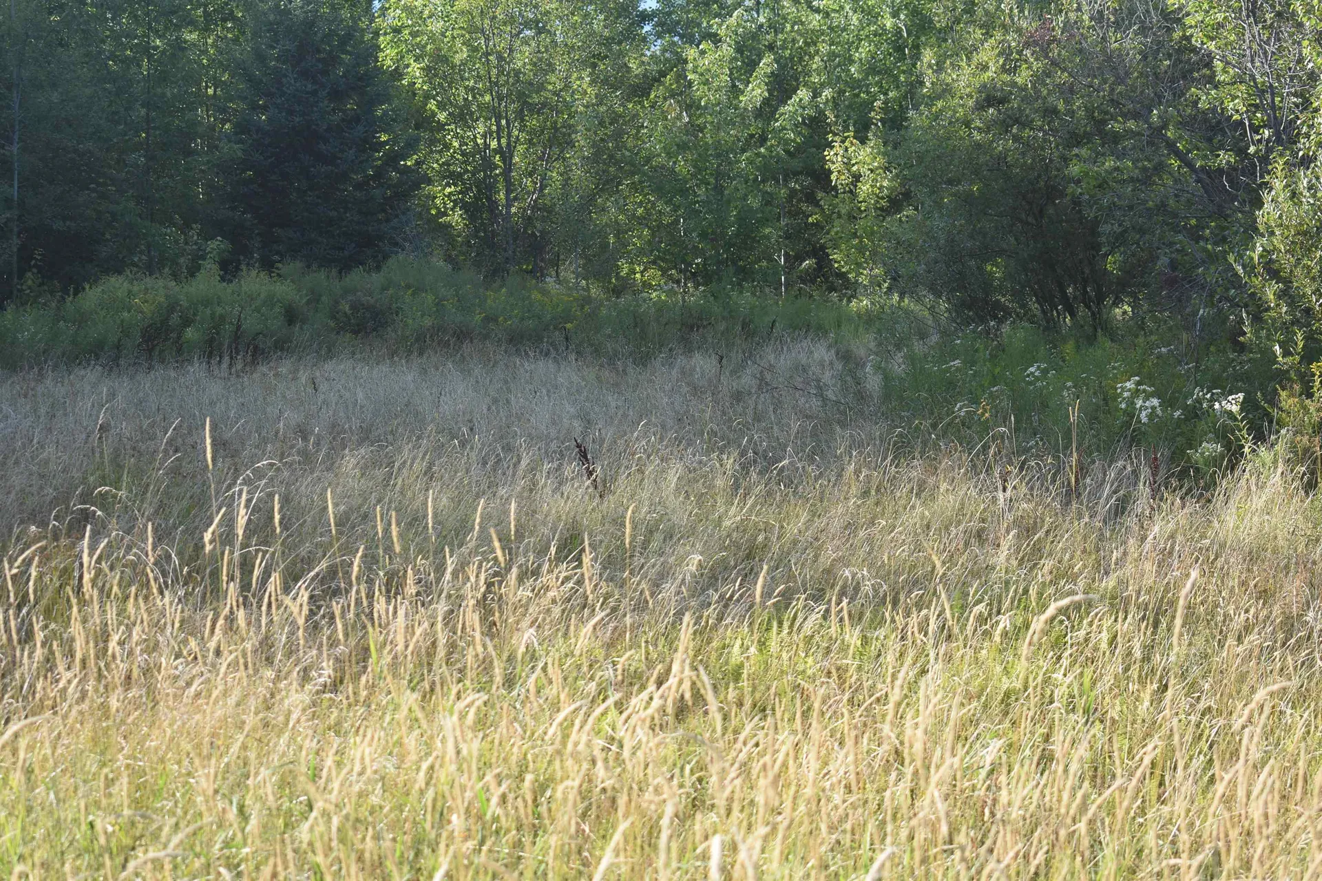 00 Route 58 Lowell VT 05847