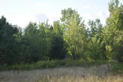 00 Route 58 Lowell VT 05847