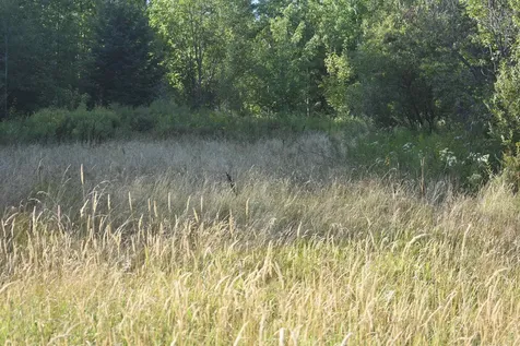 00 Route 58 Lowell VT 05847