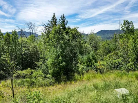 Parker Ridge Road Bartlett NH 03812