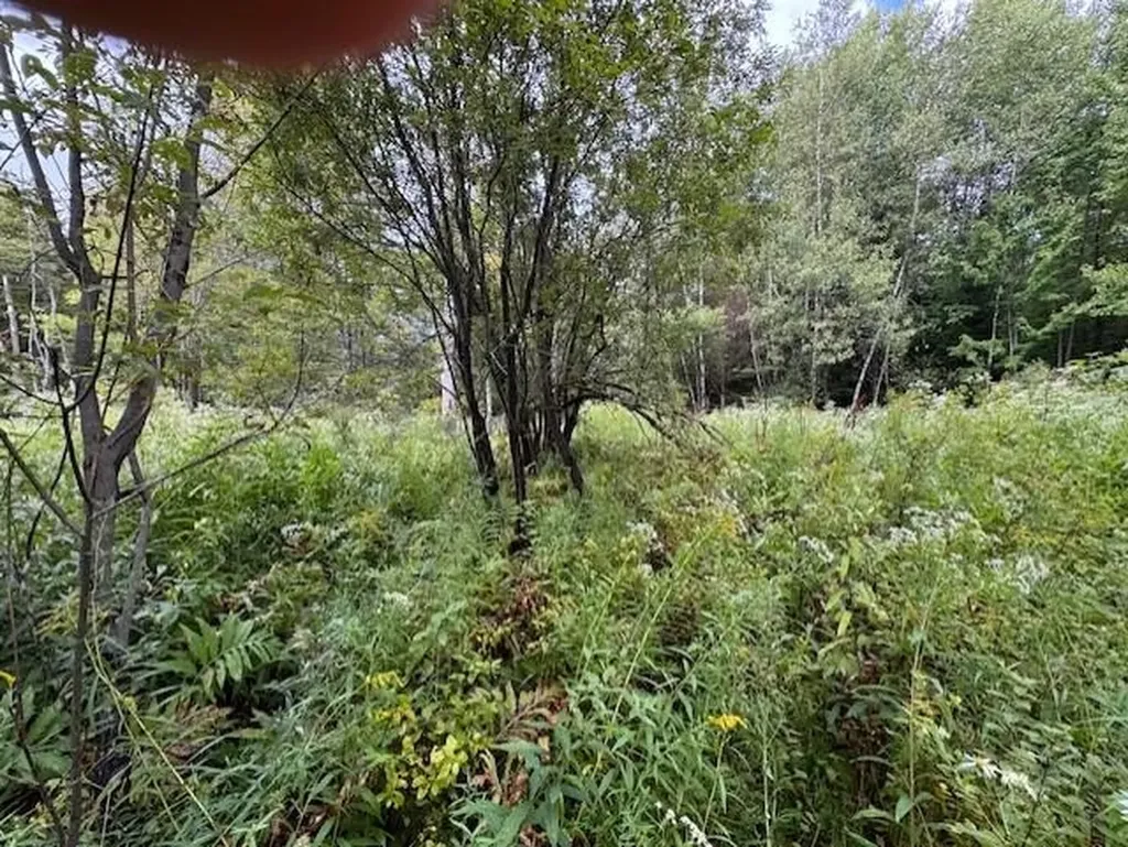 00 Creamery Bridge Road Montgomery VT 05471