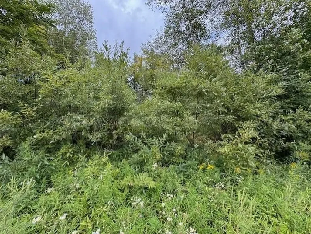 00 Creamery Bridge Road Montgomery VT 05471