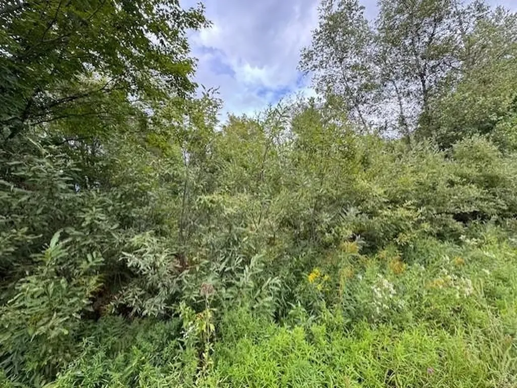 00 Creamery Bridge Road Montgomery VT 05471