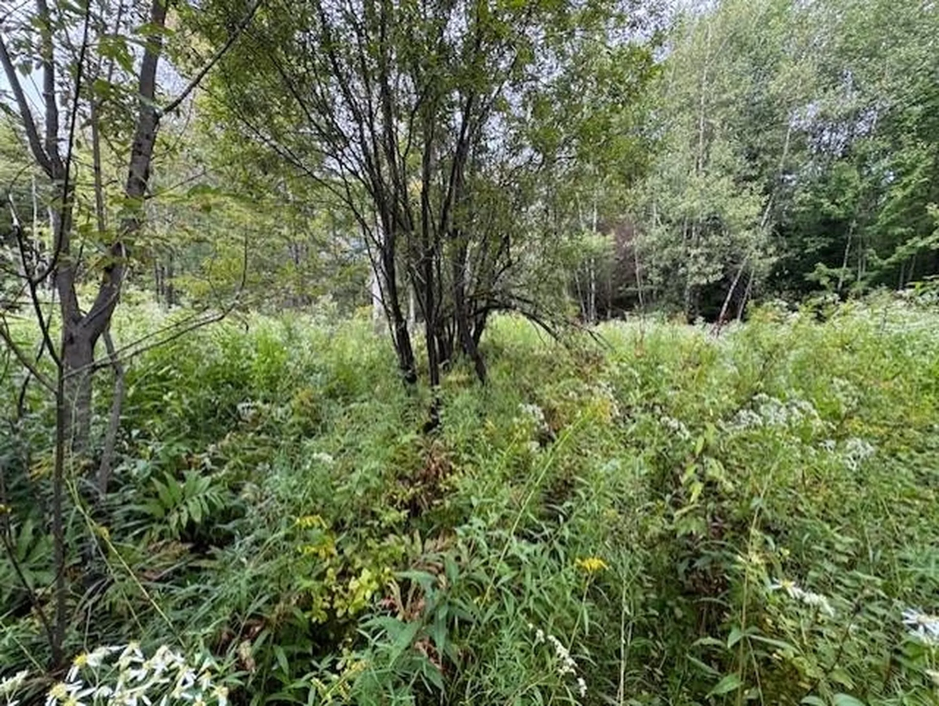 00 Creamery Bridge Road Montgomery VT 05471