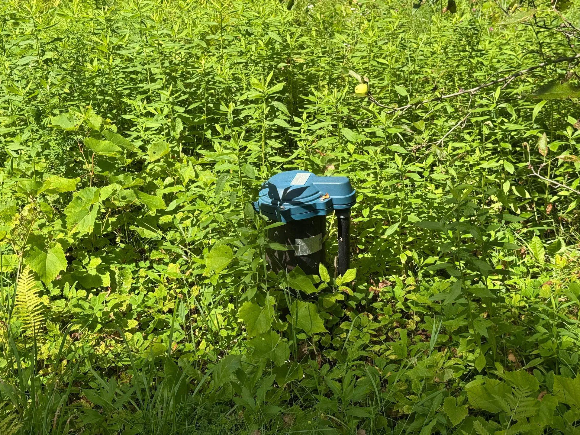 11 Sharon Lane Mount Holly VT 05758