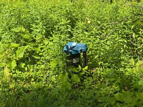 11 Sharon Lane Mount Holly VT 05758