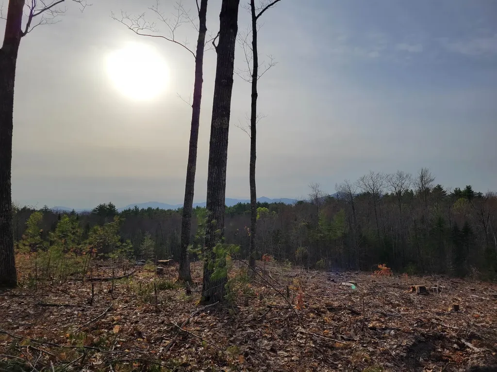 238-1-1 Maple Grove Road Madison NH 03849