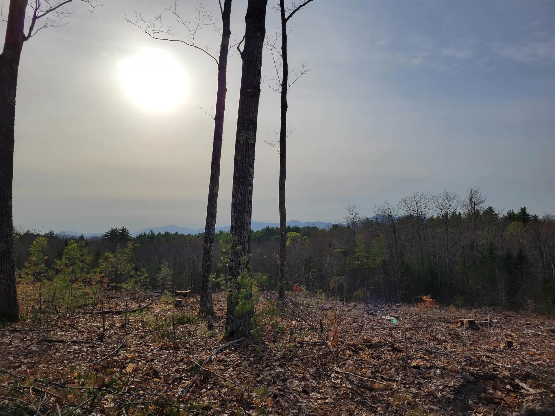 238-1-1 Maple Grove Road Madison NH 03849