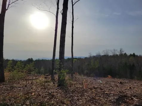 238-1-1 Maple Grove Road Madison NH 03849