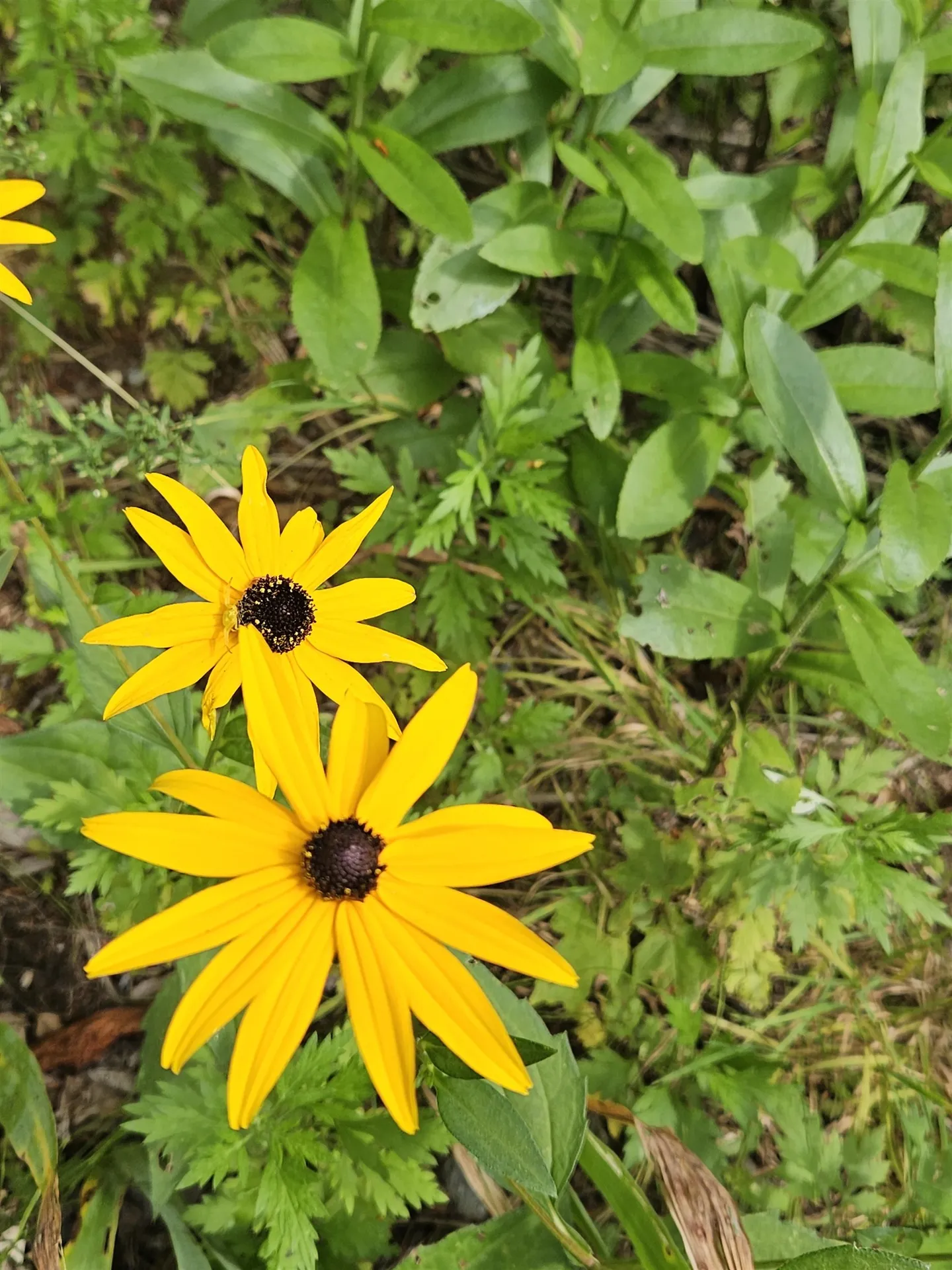 27 Country Court Wilmington VT 05363