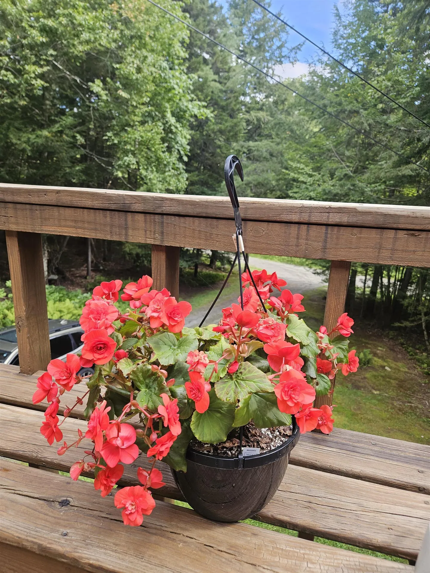 27 Country Court Wilmington VT 05363