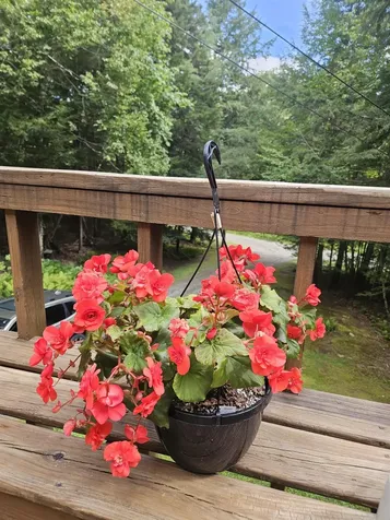 27 Country Court Wilmington VT 05363