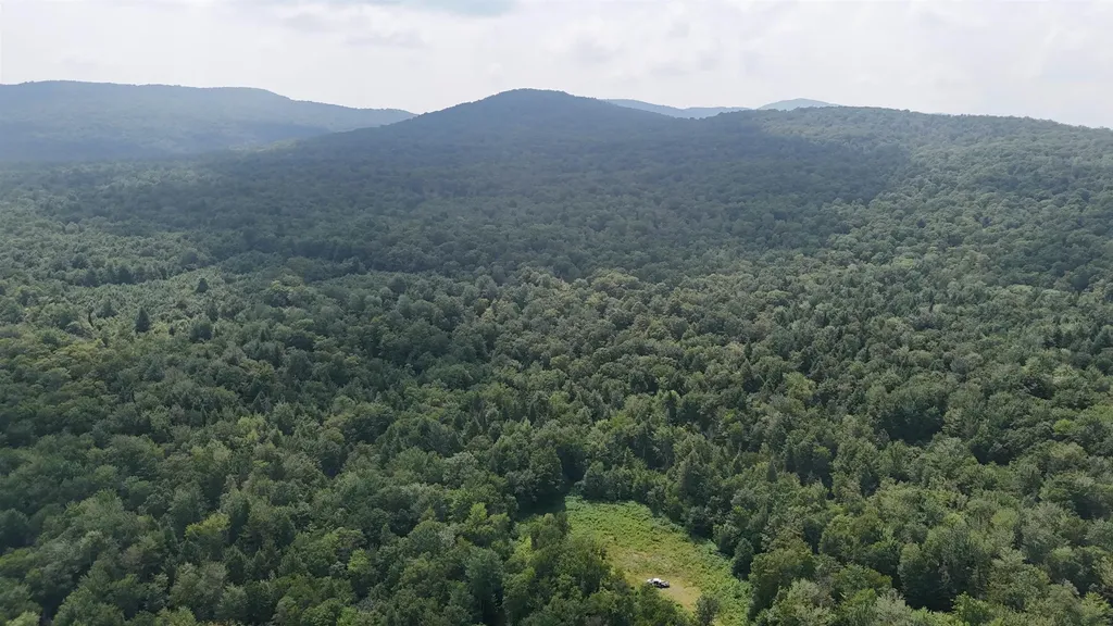 0 Bog Road Belvidere VT 05442