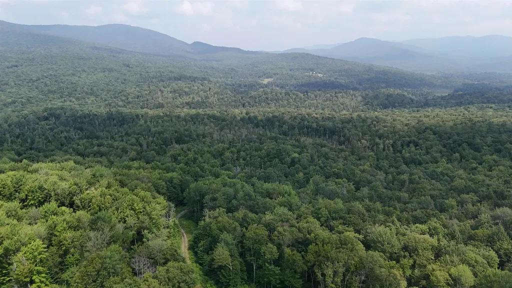 0 Bog Road Belvidere VT 05442