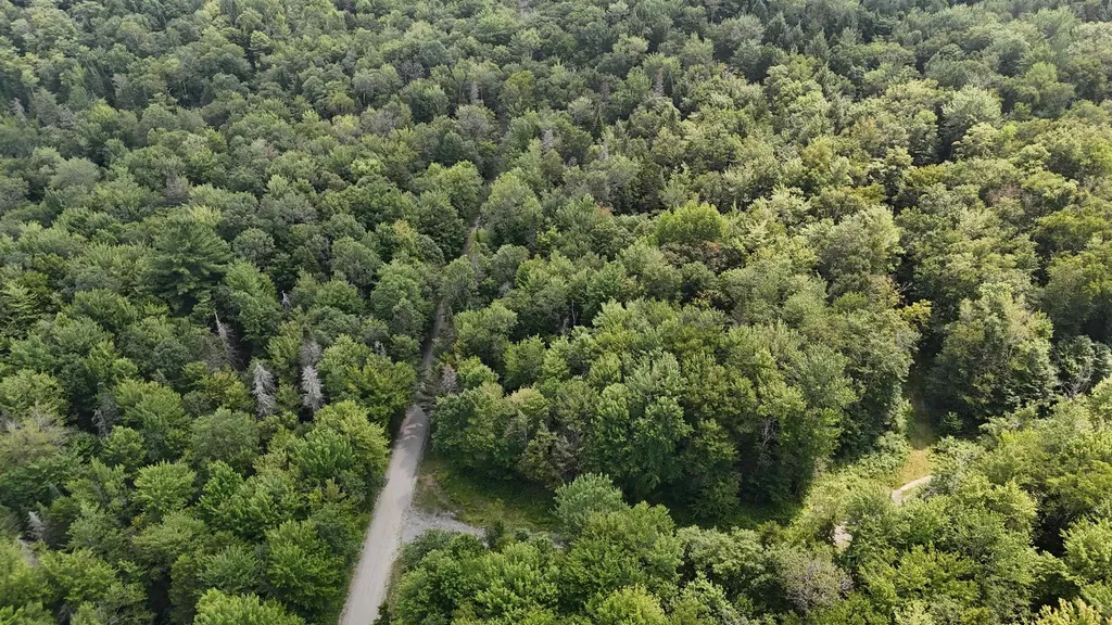 0 Bog Road Belvidere VT 05442