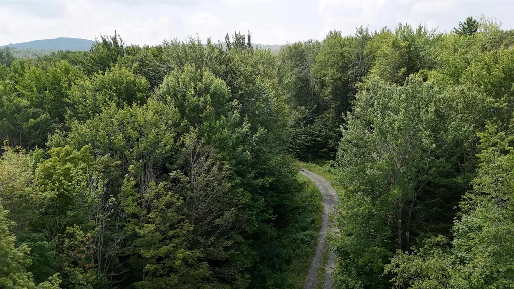 0 Bog Road Belvidere VT 05442