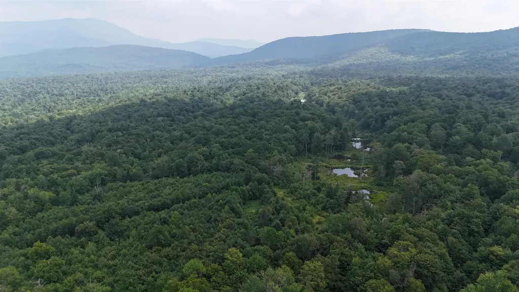 0 Bog Road Belvidere VT 05442